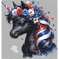 Rainbow Horse-RH 151